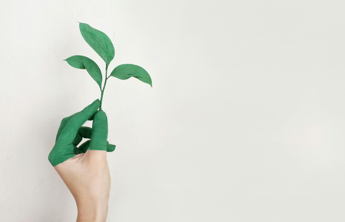 Mastercard’s Sustainable Card Program: A Game Changer for the Card Manufacturing Industry