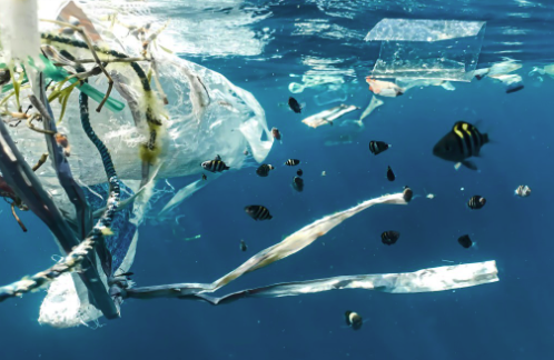 The Latest Trends in Eco-Friendly Materials